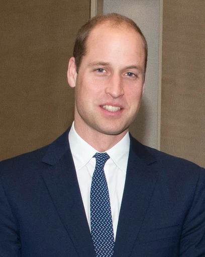 Princas William portretas